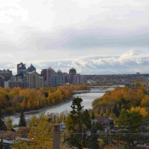 Cheapest Flight to Calgary