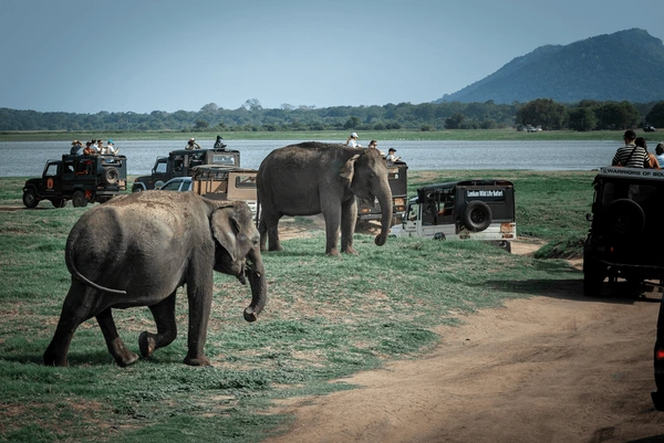 Sri Lanka Wildlife Holiday