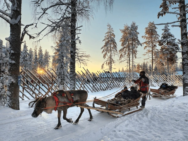 Rovaniemi Holiday