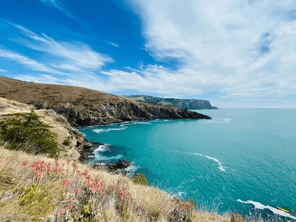 South New Zealand Alpine Escape – 8 Nights