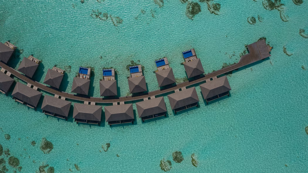 Cocoon Maldives