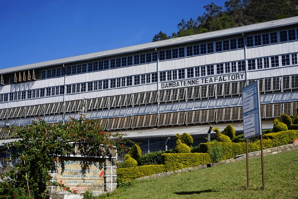 Sri Lanka Tea Trails