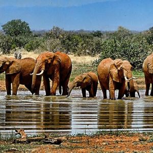 Cheapest Flight to Entebbe