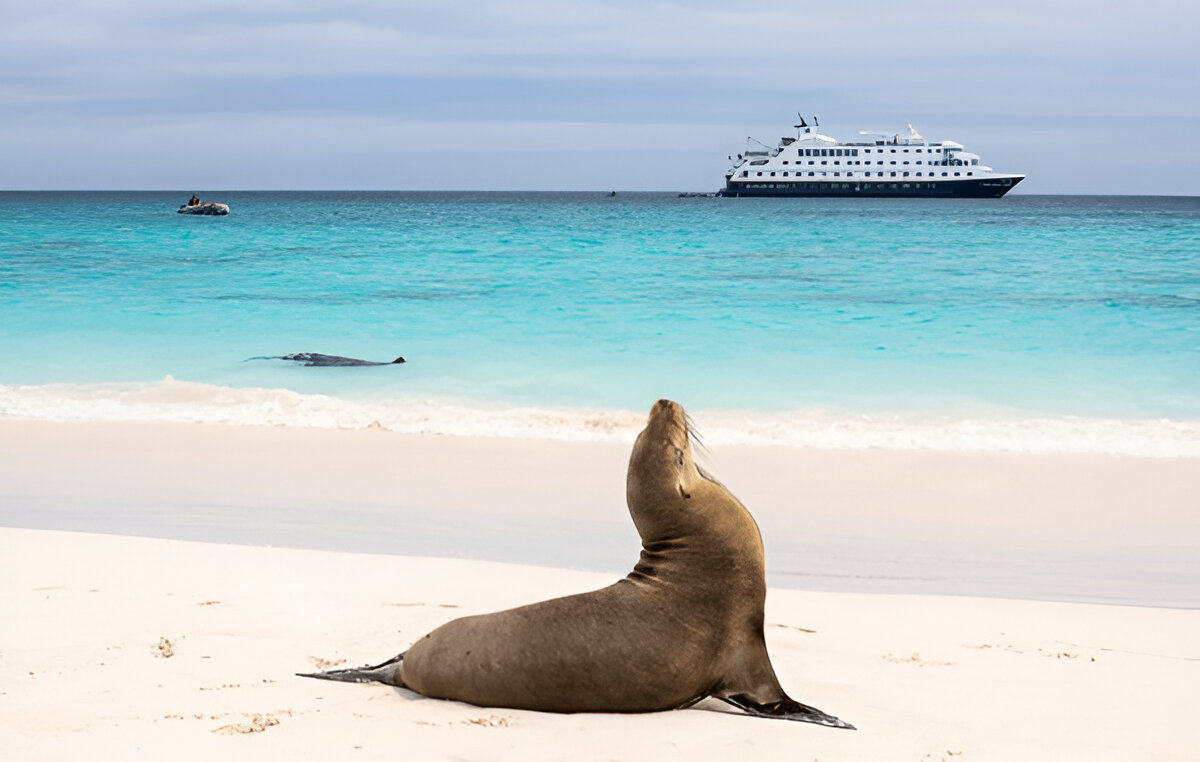 Ecuador Discovery & Galapagos Cruise