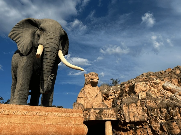 Johannesburg Holiday