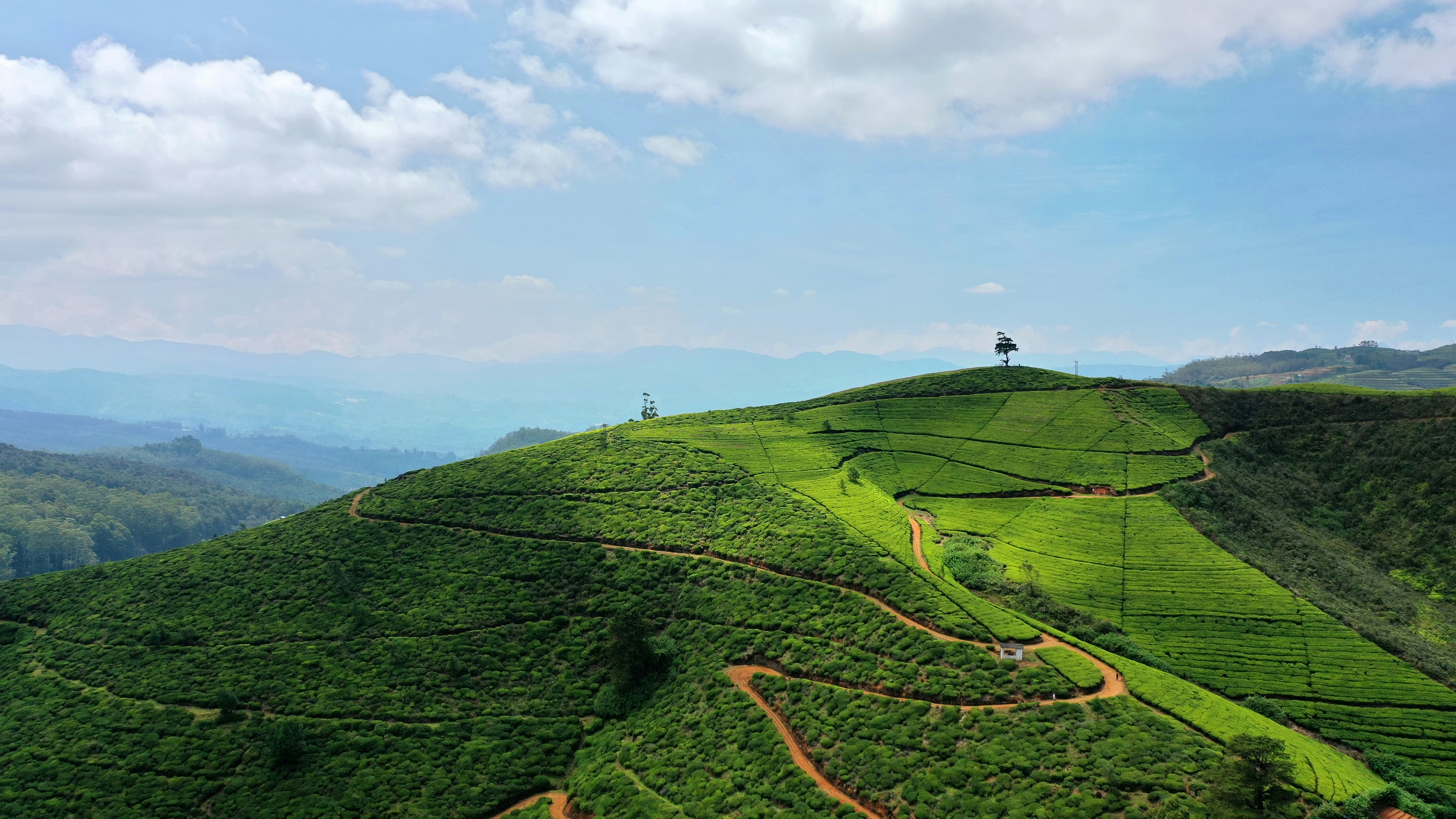 Sri Lanka in Style: An 11-Night Luxury