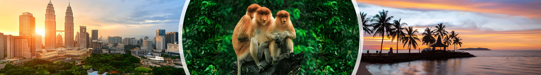 Adventure in Malaysia: Explore Sepilok, Kinabatangan, and Kota Kinabalu - 9 Nights