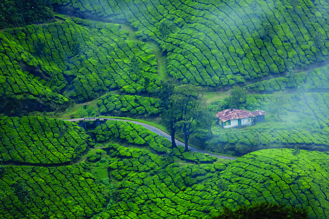 Escape to Kerala