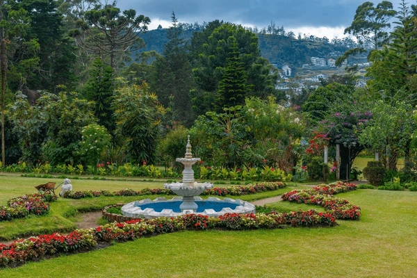 Sri Lanka Tea Trails