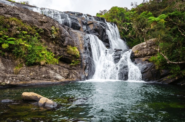 Sri Lanka Tea Trails