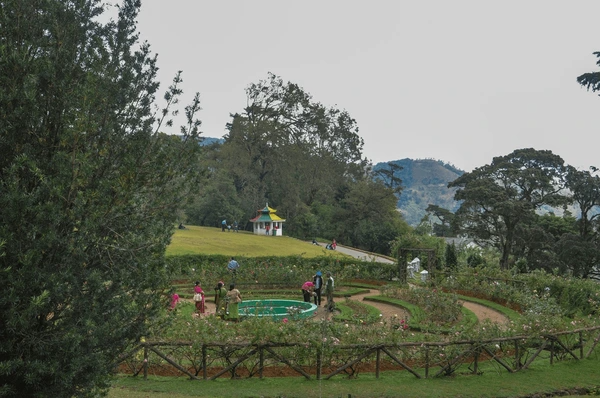 Sri Lanka Tea Trails