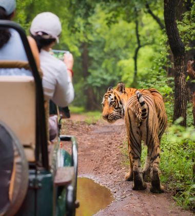 Golden Triangle Tour with Tiger Safari and Goa beach stay - 12 Nights