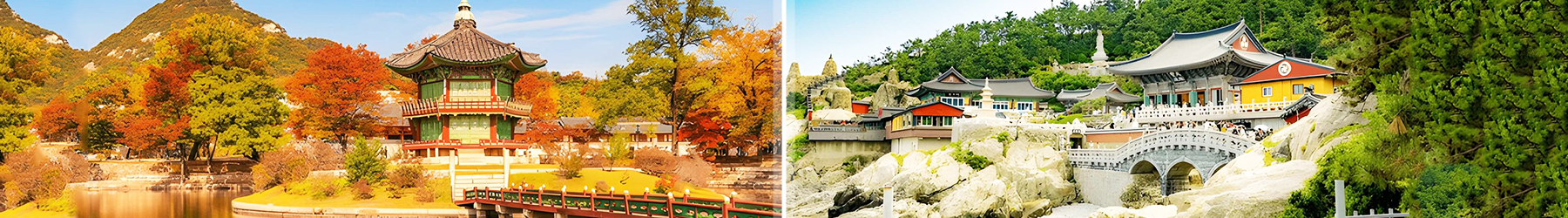 South Korea Twin Centre Escape: Seoul & Busan – 7 Nights