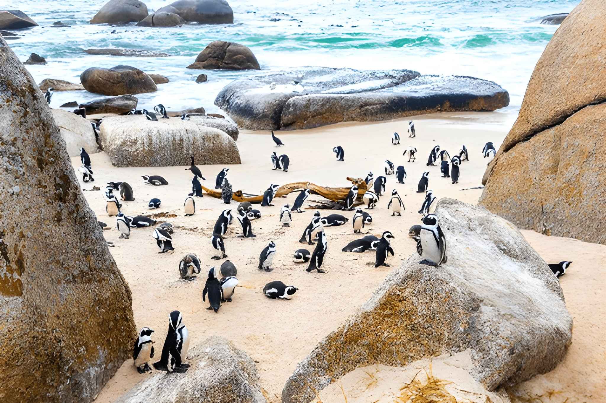 Cape Town & Stellenbosch