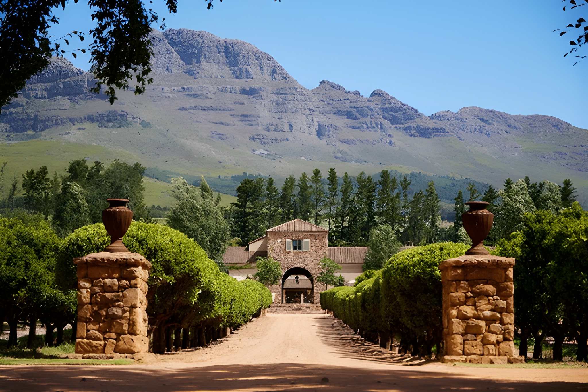 Cape Town & Stellenbosch