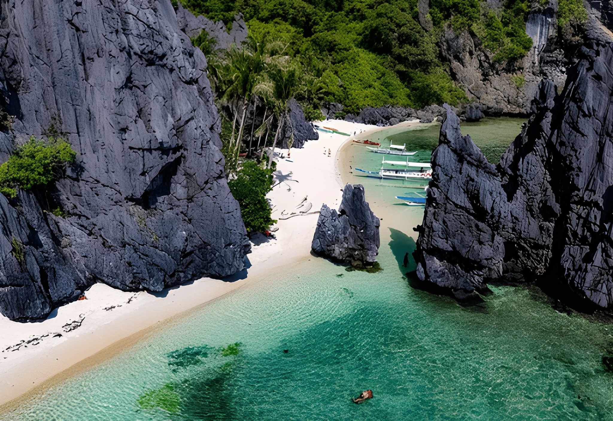 EL NIDO