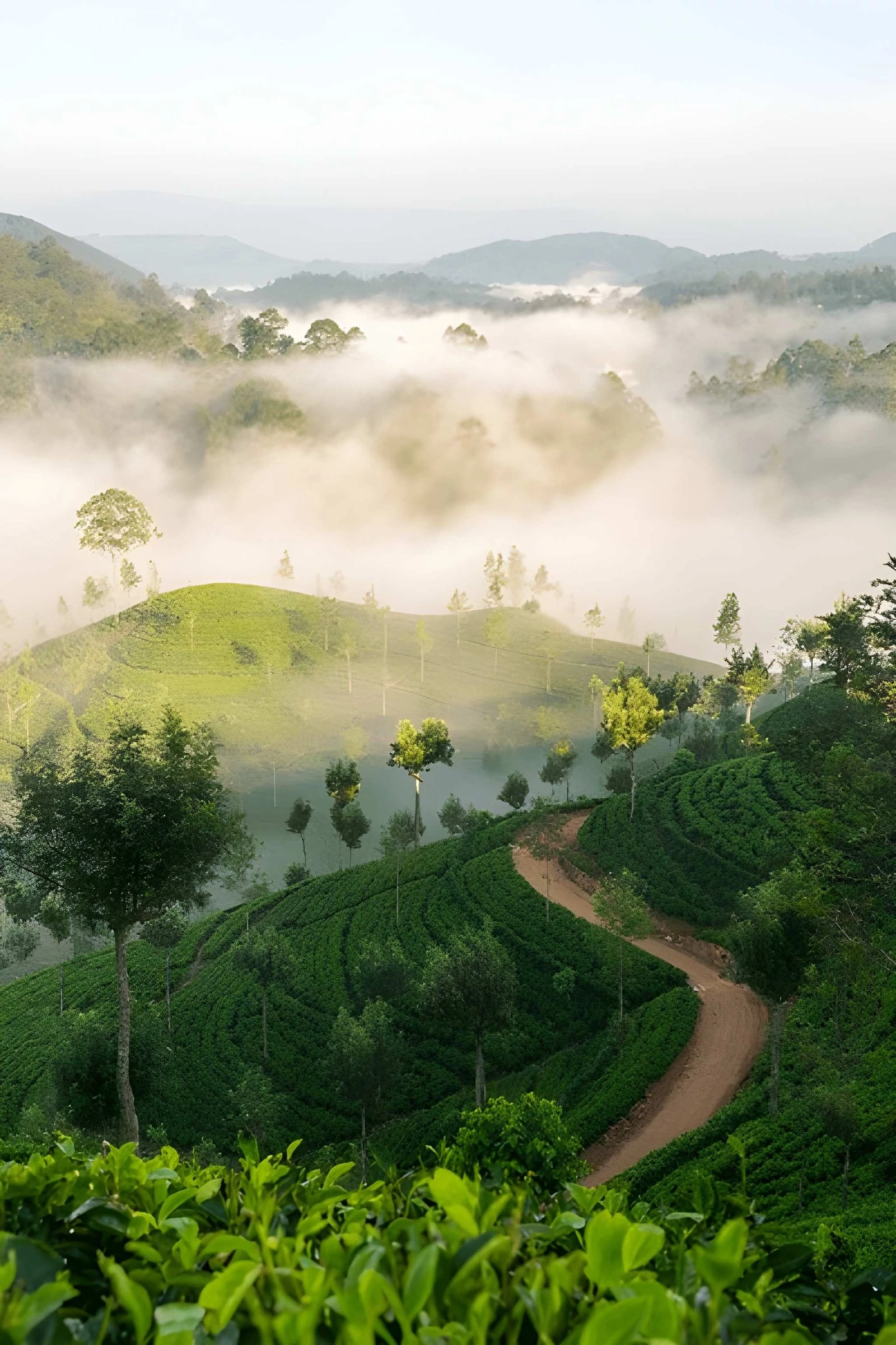 Sri Lanka Escorted Tour