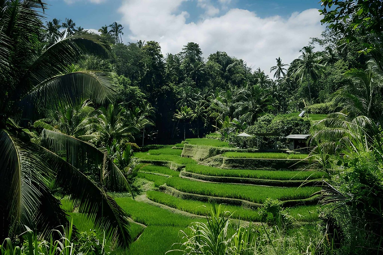Bali Bliss: Island Dreams & Ubud Serenity – 10 Nights