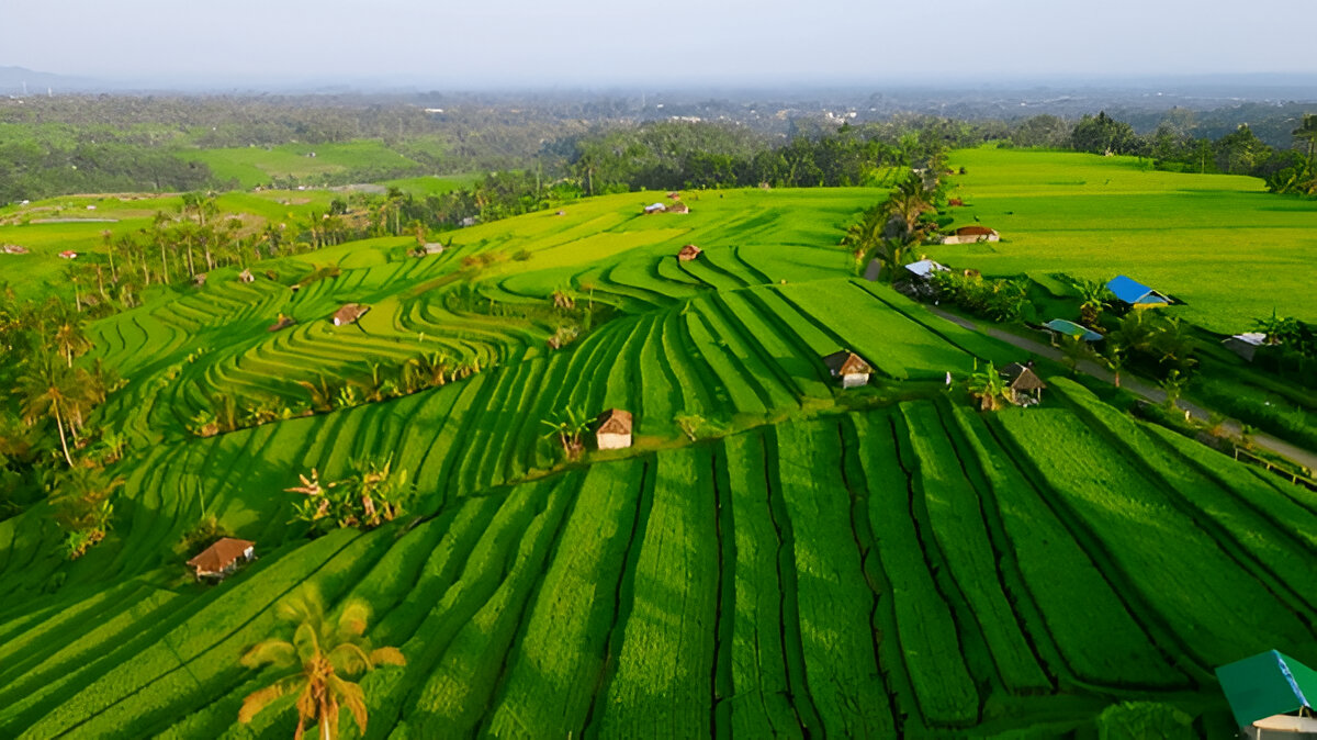Asia Unlocked: 11 Nights in Malaysia, Singapore & Bali