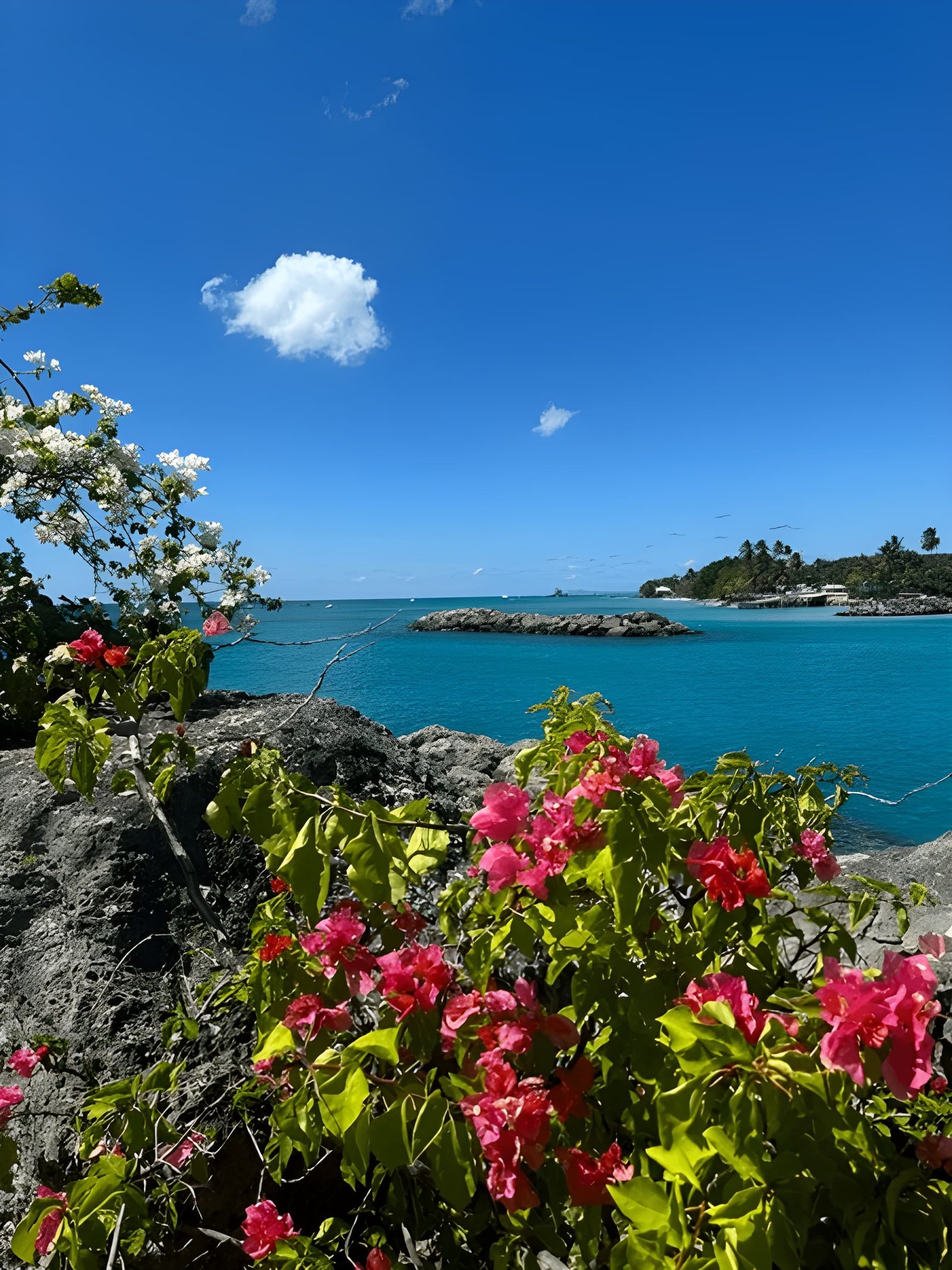 Southern Caribbean