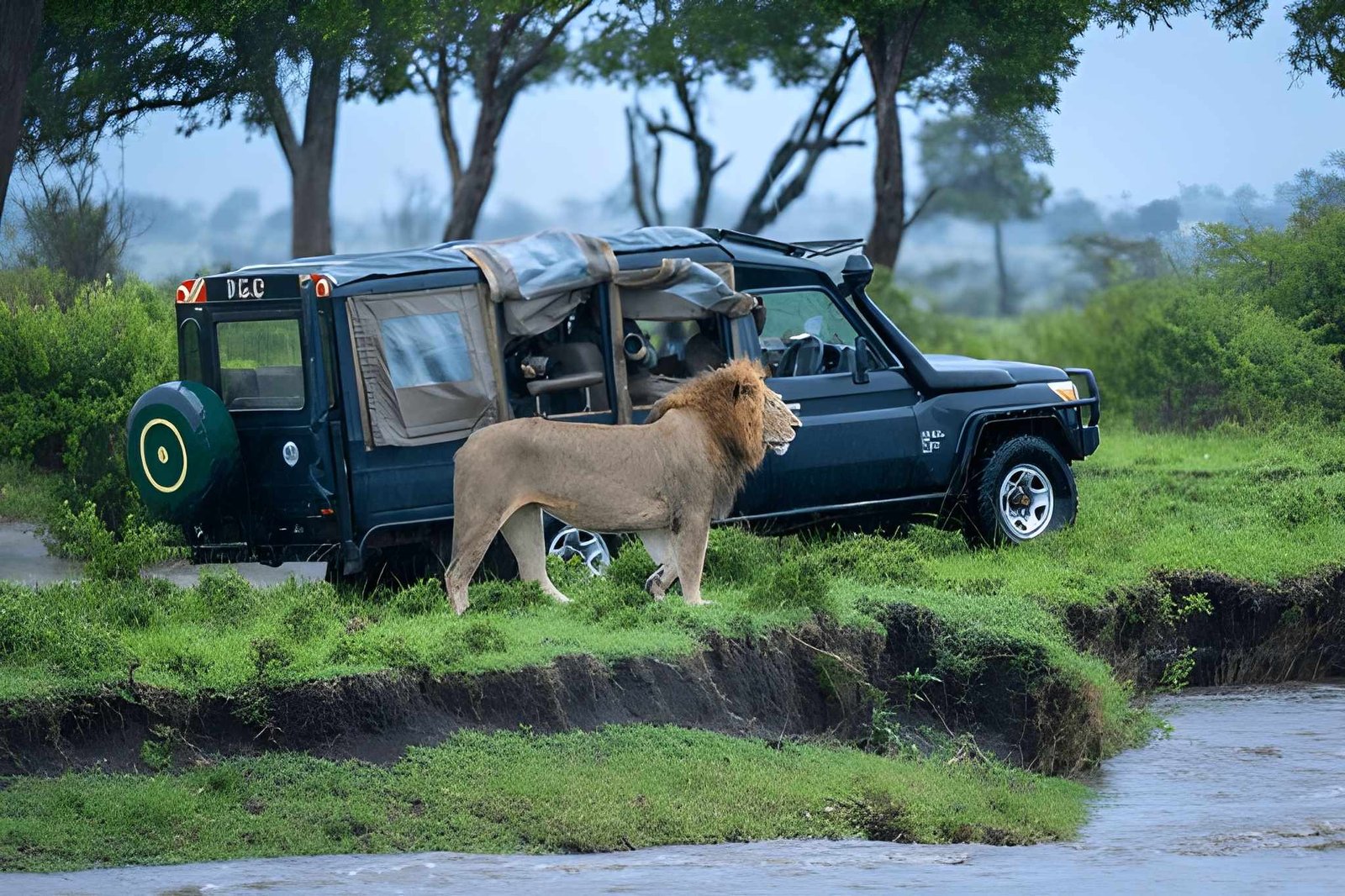 South Africa with Kruger National Park