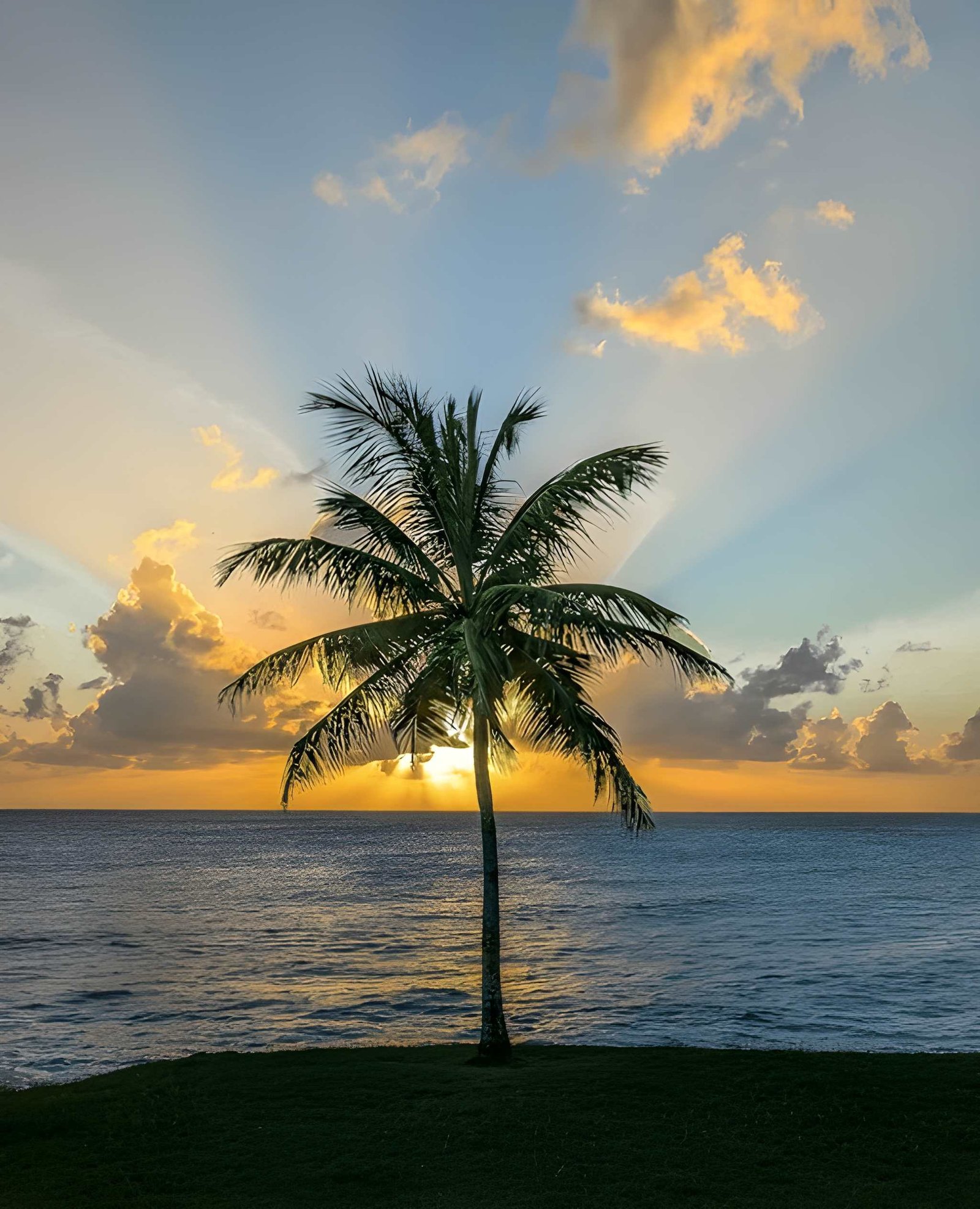 Sandals Royal Barbados