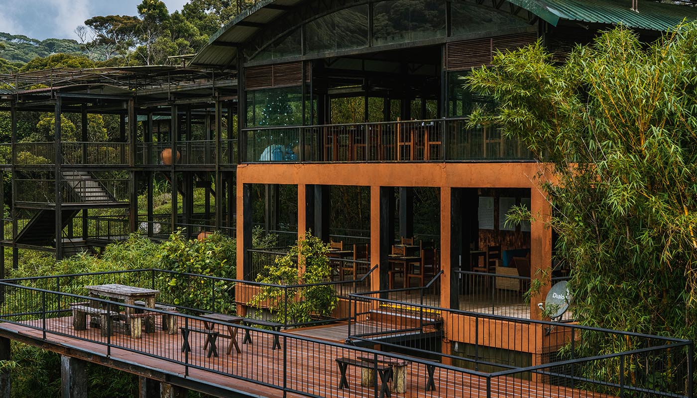 Sri Lanka Wildlife Holiday