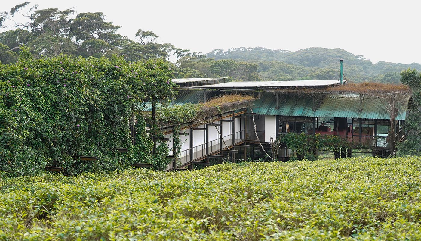 Sri Lanka Wildlife Holiday