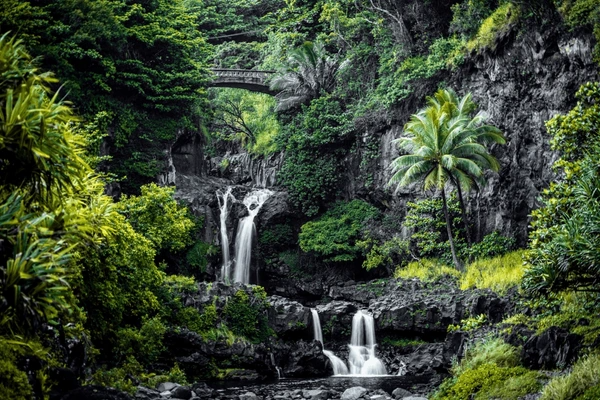 Maui