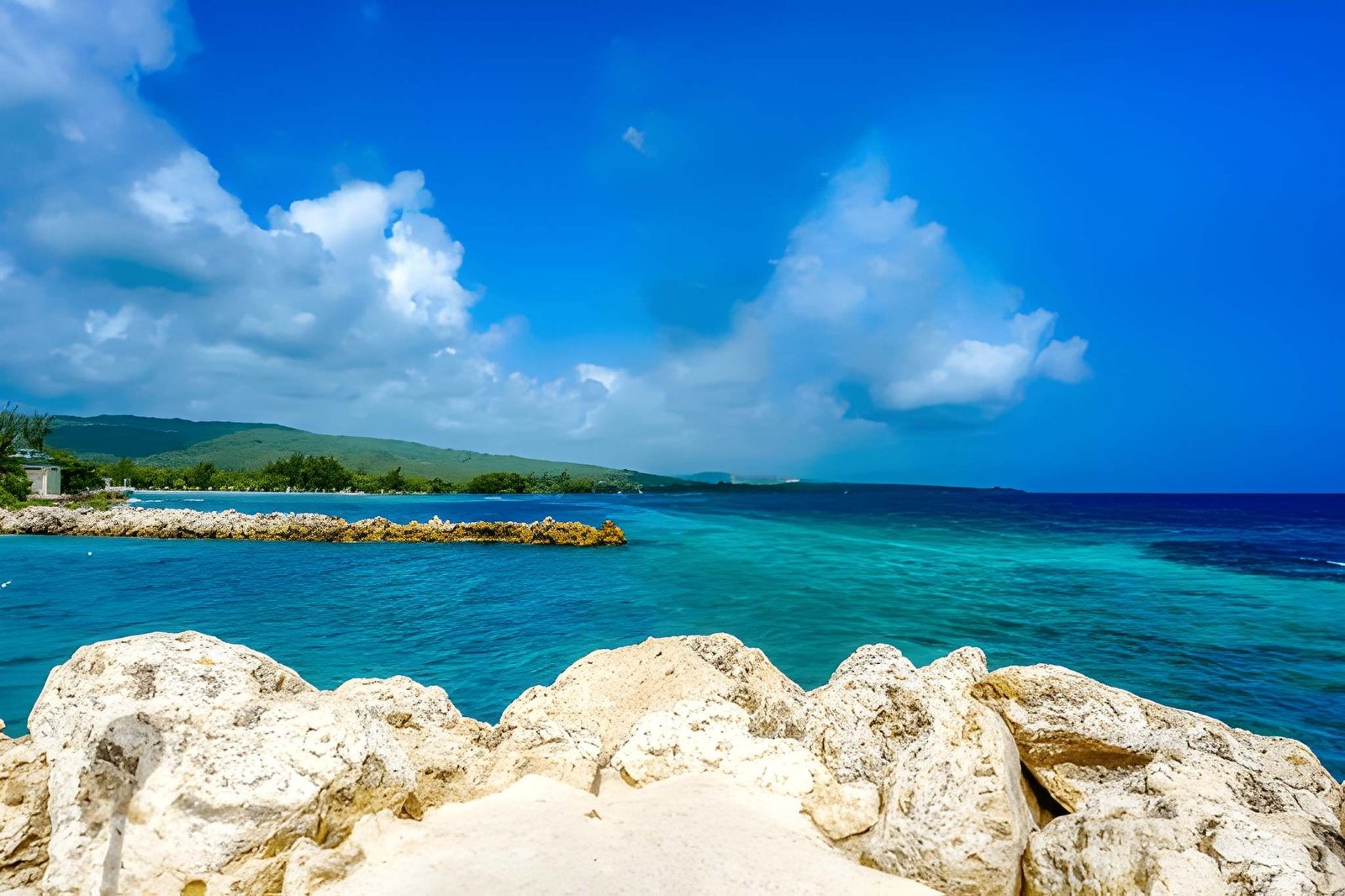 Jamaica Holiday