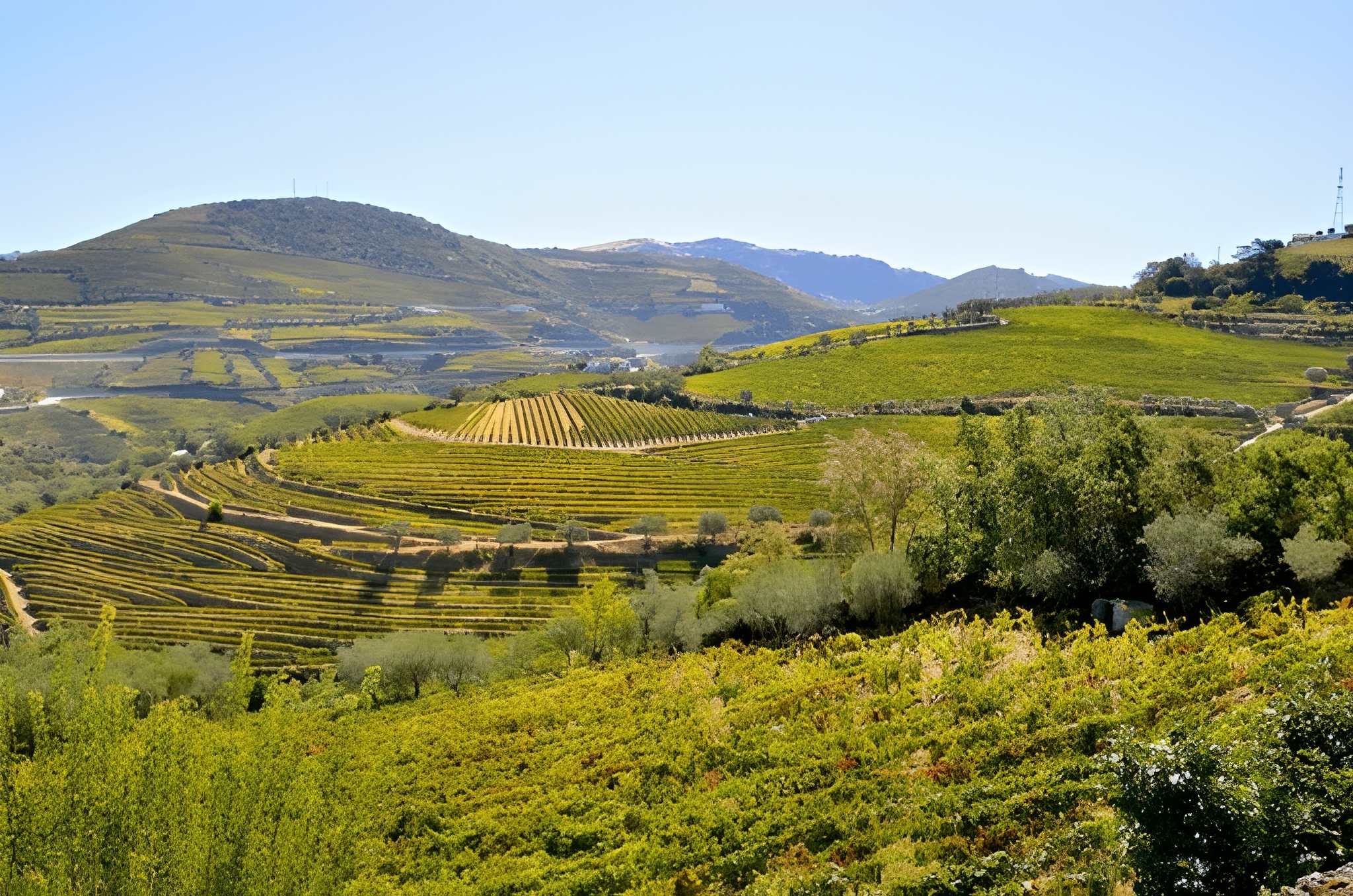 Enchanting Porto & Douro River Cruise Escape – 9 Nights