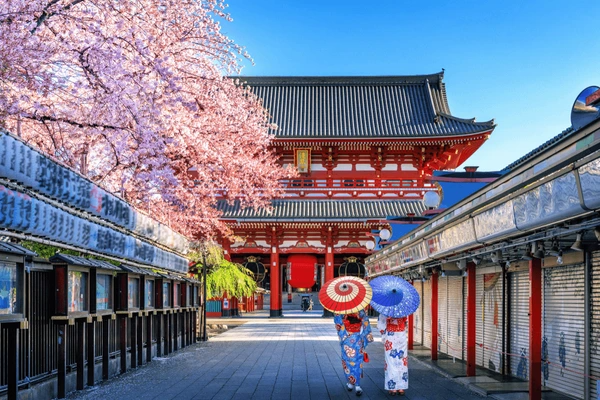 Tokyo Holiday