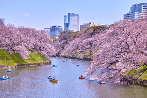 Tokyo Holiday