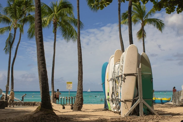 Hawaii Holiday