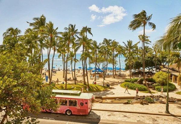 Hawaii Holiday