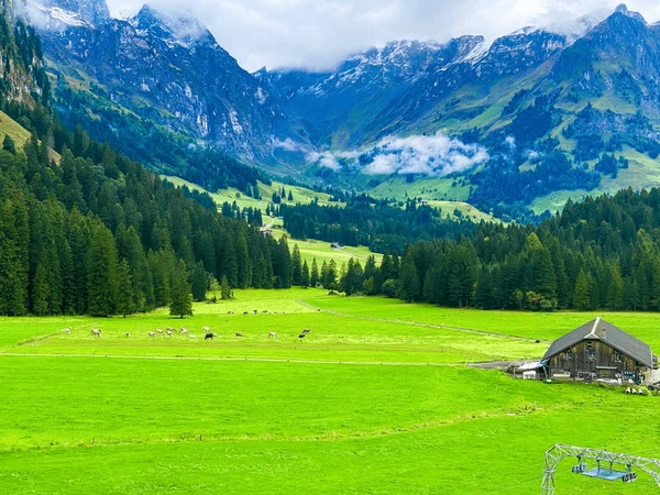 Zurich Holiday