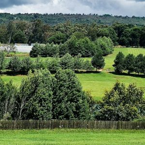 Zimbabwe Flight Deals